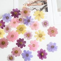 Kit Resin Epoksi DIY untuk Anting Bunga Gesang, Poppy, Daisy, Aksesoris Perhiasan Bergaya Hutan Ultra-Fairy, Buatan Tangan Murni