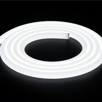 Ruban LED néon flexible personnalisable de 25 mm, 360° omnidirectionnel, sans points, résistant aux UV, IP65, couleur réglable, gradation pour salle de réception
