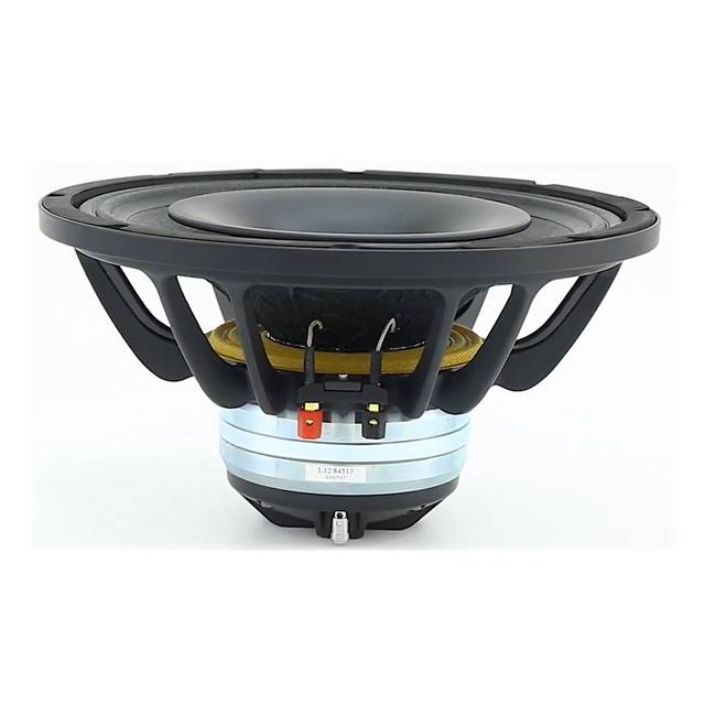 Professional HBSOUND 12 Inch Coaxial PA Speaker for Outdoor Use HF/1000-20000Hz LF/58-3000Hz Frequency Response Monitor Box