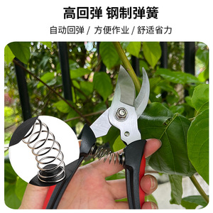 Pinheng Stainless Steel <b>Pruning</b> Shears Bypass Red Manual For Fruit <b>Trees</b> And Bonsai Garden <b>Tools</b> - Product Image 3