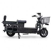 Moto électrique tout-terrain robuste pour adultes, capacité de charge 300 kg, moteur sans balais, autonomie 100-260 km