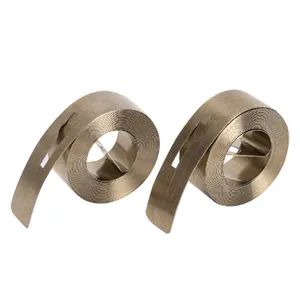 Factory Customized 301 Stainless Steel Power Spring 0.1-10mm Thick Electroplated Scroll Spring