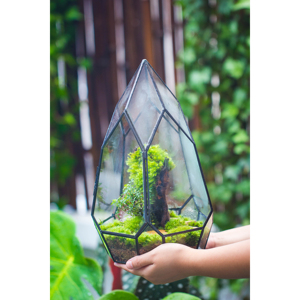 Không thường xuyên gần hình học thủy tinh bán buôn Acrylic <span class=keywords><strong>Terrarium</strong></span> bò sát PVC Acrylic Pet lồng DIY trang trí nội thất tường nghệ thuật để nhà máy Terra - Product Image 1