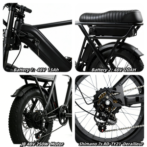 Bicicleta Eléctrica Y20 Plus al por Mayor de Fábrica, Barata, de 20 Pulgadas para Entrega de Comida en Rusia, 48V250W, Cuadro de Acero, Neumático Ancho, Motor Trasero Electrónico - Product Image 4