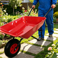 Carretilla de una rueda de 65L con bandeja metálica con recubrimiento en polvo de 0.6mm, color personalizado para uso en jardín, rueda neumática.