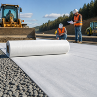 Géotextile respirant en PP/PET non tissé, écologique, pour la construction routière, 150-350 g/m², stabilisation des sols, drainage