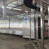 Dezoton Ultra Low Temperature Tunnelvriezer, continu snelvriesapparatuur voor fruit, groenten en voedsel