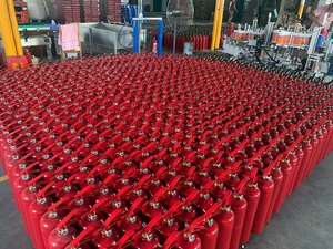 Bouteilles d'extincteurs d'incendie vides en acier, <span class=keywords><strong>prix</strong></span> de gros - Product Image 4