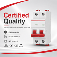 Disjoncteur miniature CDB9 1P 2P 3P 4P 1-80A 230/400V AC 6kA 10kA Courbes B C D Rail DIN MCB