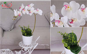 Orquídea Artificial Realista JIAWEI para Decoración del Hogar, Planta de Orquídea Artificial de Plástico con Luz LED, 35cm*50cm, Ecológica - Product Image 4