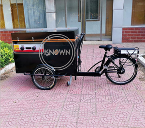 Triciclo de carga para adultos, máquina expendedora de fruta, aperitivos, helados eléctricos, bicicleta móvil de alimentos, OEM, en venta - Product Image 2