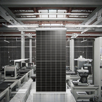 Paneles Solares Bifaciales Tipo PERC Rosen RSM700-132HC de 450W 550W, Módulo Fotovoltaico de Media Celda Económico de 1000W, 600W Máx., 210mm de Altura