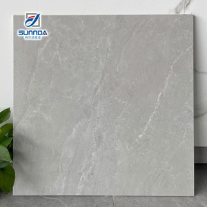 Azulejos de Porcelana Rústicos con Superficie Mate Antideslizante, Bordes Rectificados, Diseños de Cemento, Mármol y Terrazo para Pisos y Paredes, Ideal para Escuelas, Hoteles y Casas - Product Image 6