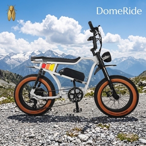 Exportación de Comercio Exterior Transfronterizo, Almacén en Europa y Estados Unidos, Generación 20, Bicicleta Eléctrica de Doble Motor de 20 Pulgadas, 52V 2000W - Product Image 4