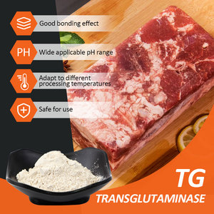 Polvere di Transglutaminasi di Grado Alimentare (Enzima TG) 100 & 3000 UI/g CAS 80146-85-6 per Legame e Ristrutturazione della Carne - Product Image 3