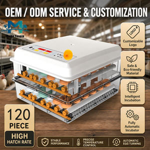 Incubateur automatique pour volailles <span class=keywords><strong>de</strong></span> 120 œufs, double alimentation, contrôle numérique <span class=keywords><strong>de</strong></span> la température, retournement automatique, lumière intégrée, plastique ABS, pour poulets, OEM/ODM - Product Image 3