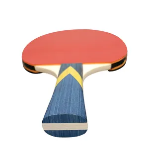 Masa tenisi raketi 3-Ball seti Ping Pong raket kürek çifti kapalı spor oyunu olay