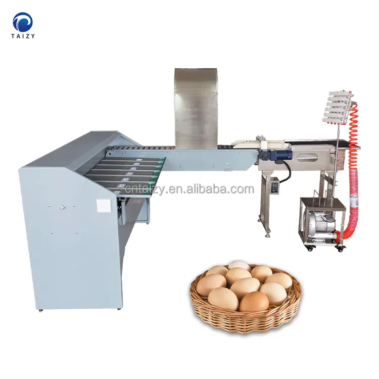 Endüstriyel otomatik yumurta sıralama makinesi tavuk çiftliği yumurta sınıf ve şekerleme makinesi