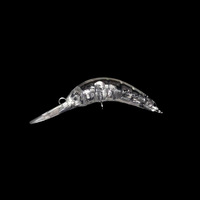 Leurre artificiel dur de type ver bionique micro-organisme ABS 5cm/2g, coulant, non revêtu, corps vierge non imprimé