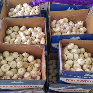 Ajo Fresco Blanco Normal Jinxiang de Nueva Cosecha de China, Bolsas de Malla de 10 kg de Rich Farmer - Product Image 5
