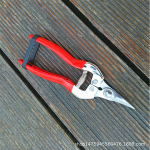 Cisailles à fruits en acier inoxydable Taiwan Mountain Wisteria, structure papillon, 20-30 mm, pour l'élagage des arbres fruitiers - Product Image 4