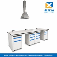 Banc de travail de laboratoire contemporain tout en acier avec surface époxy, armoires de rangement pour laboratoire chimique, hôpital, atelier, école, entrepôt 2