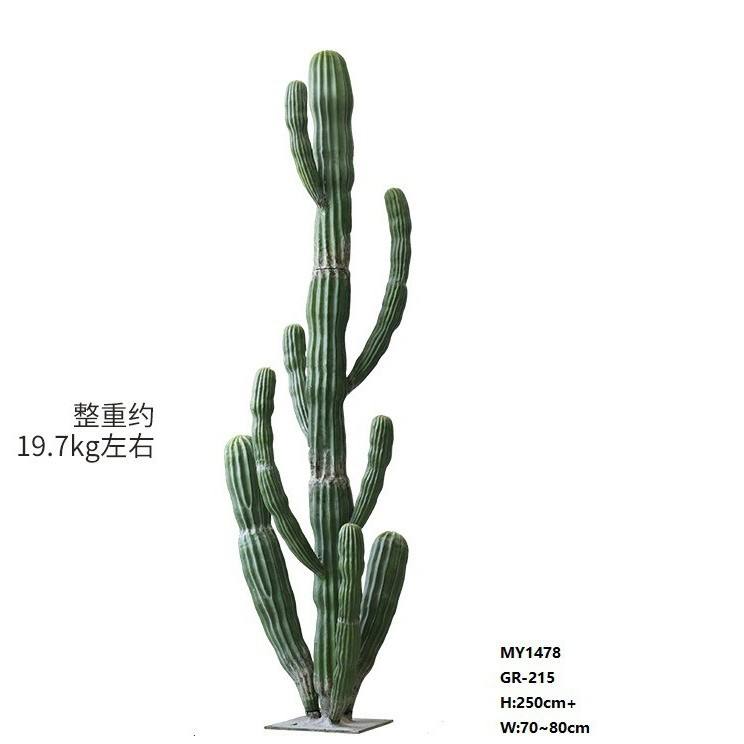 Cactus-240cm gigante
