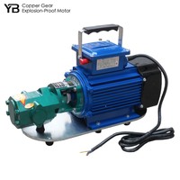 Pompe à engrenages en fonte WCB 100, 100 LPM, 0,3 Mpa, 1,1 KW, pour transfert d'huile à faible viscosité, 2800 tr/min avec moteur