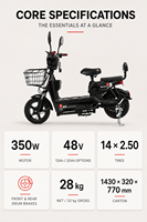 Vélo Électrique Urbain pour Commuter, Batterie au Lithium Amovible en Option, avec Panier Avant, Siège Passager Disponible, E-Bike Adulte