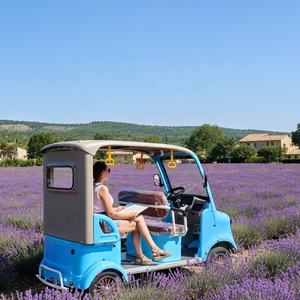 <span class=keywords><strong>Scooter</strong></span> Elettrico Holladay a 4 Posti in Pelle Rinforzata, Autonomia di 90 km, per Uso Turistico e Golf per Adulti - Product Image 3