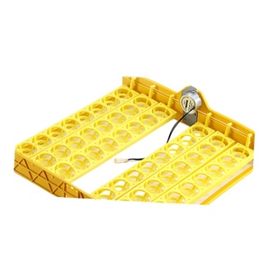 Incubateur automatique pour l'élevage à domicile avec contrôle de température et double alimentation pour poussins - Product Image 6