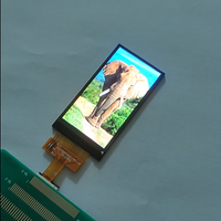 1,9 Zoll 170*320 Auflösung IPS Quadratischer Bildschirm LCD-Panel TFT LCD-Display TFT LCD-Modul