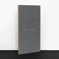 Dalles de pavage en pierre aspect granit noir 300x600x12mm pour allées et sols, disponibles pour la décoration intérieure et extérieure, carreaux d'extérieur