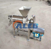 Roestvrijstalen Fruit Mengmachine Hoge Efficiëntie Kokosnoot Juicer