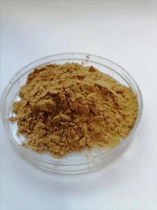 Cung cấp giá bán buôn 10:1 vỏ cây quế chiết xuất bột trong số lượng lớn - Product Image 6