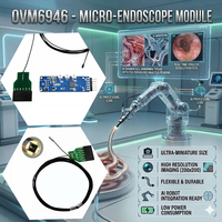 Module de caméra endoscopique USB miniature, caméra de sécurité ultra-petite pour la robotique, l'inspection médicale, les systèmes de caméras analogiques de petite taille