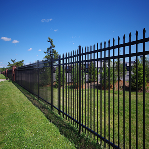 Venta caliente Piquete de acero recubierto de polvo Paneles de valla de jardín Valla de piscina de seguridad Puertas de entrada de hierro abiertas deslizantes Inmersión en caliente - Product Image 5