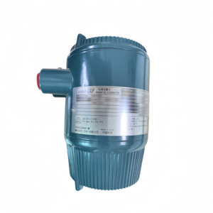 Débitmètre YOKOGAWA Série AXF AXF015 AXF025 AXF050 AXF080 AXF100 AXF150 AXF200 - Product Image 4