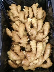 Свежий органический молодой имбирь из Китая, корень имбиря, сертифицированный GAP, бренд Heli, напрямую с фермы в Шаньдуне, 10 кг, для приготовления пищи - Product Image 4