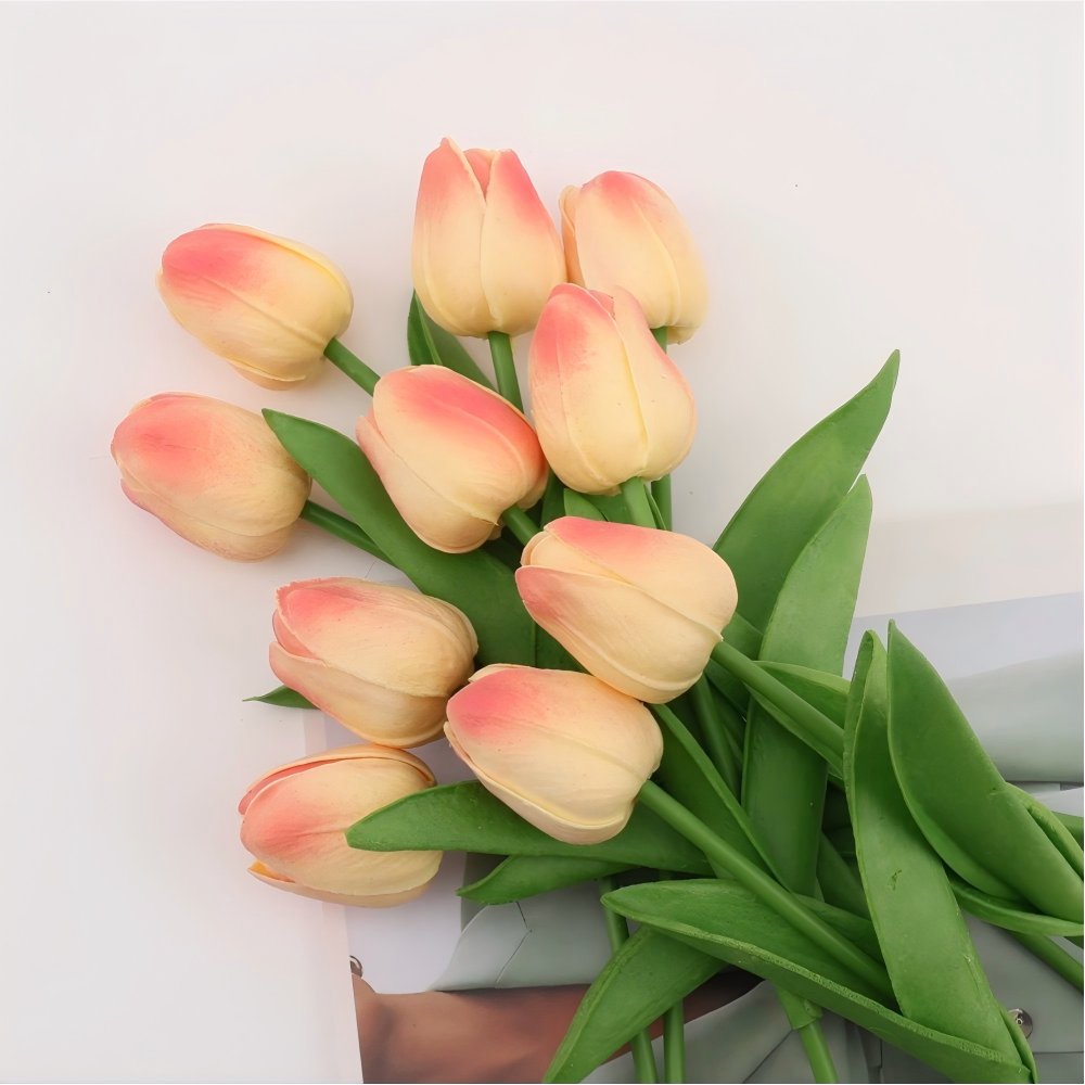 Rose crème