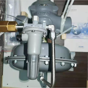 Régulateur Fisher 1098-EGR Régulateur de pression de carburant pneumatique OEM Personnalisable Certifié ATEX - Product Image 4