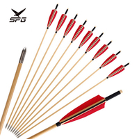 Arc à poulies et flèches de chasse professionnel SPG Archery : flèches en bambou, fibre de verre et carbone, accessoires d'extérieur