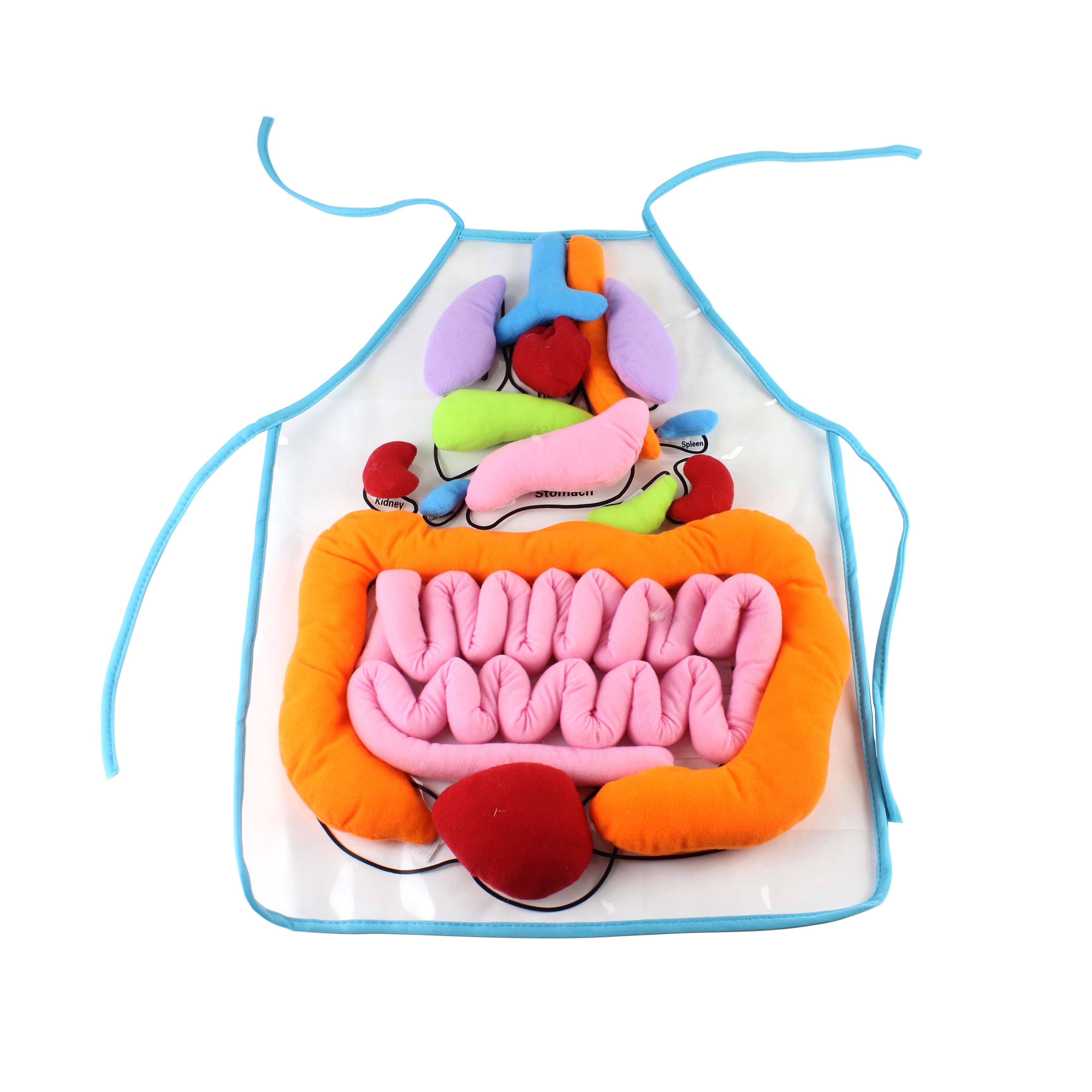 Delantal Educativo De Órganos Humanos – Modelo De Anatomía Infantil Con Piezas Extraíbles De EVA, 60x44 Cm