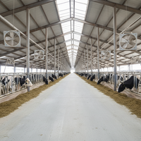 Abri Agricole Polyvalent Robuste : Solution de Construction pour Élevages, Bâtiments d'Élevage de Bovins et de Volailles, Hangar pour Vaches et Poulets