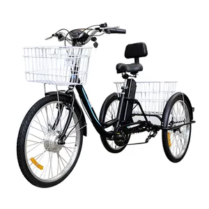 Long Range Cổ Điển Ba Bánh Xe 48V Cargo Bike 3 Bánh Xe Đạp Điện Cho Người Lớn