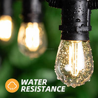 Usine en gros S14 2W ampoule LED en plastique E26 E27 ampoules à cordes remplaçables 220V 110V 2700K 2200K