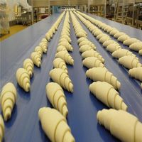 Convoyeur à bande en PVC/PU pour la manutention des produits alimentaires et de boulangerie dans les lignes de traitement et d'emballage automatisées