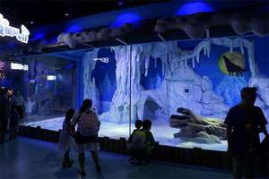 Wandmontage Acryl <span class=keywords><strong>Aquarium</strong></span> <span class=keywords><strong>Aquarium</strong></span> Aquaria & Accessoires Plastic 100% Pure Geïmporteerd Lucite 20Mm-500Mm Duurzame 0.041% - Product Image 6