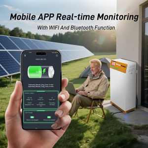 Eu <span class=keywords><strong>Pl</strong></span> Voorraad 51.2V 314ah 16kwh Lifepo4 Lithium Batterij Zonne-Energie Oplaadbare Batterij Voor Deye Growatt Victron Sofar Omvormer - Product Image 5