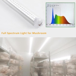 Nấm Farming Kit quang phổ đầy đủ dẫn phát triển ánh sáng lều lớn kệ cho hiệu quả nấm phát triển thiết bị - Product Image 3